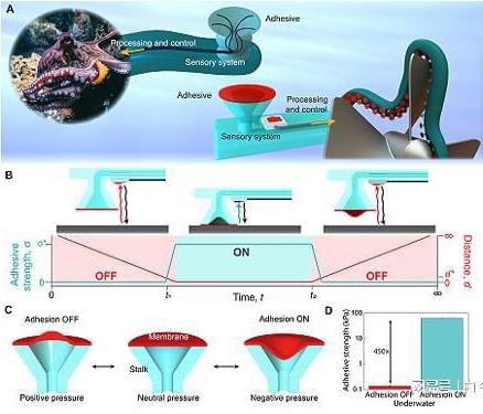受章魚吸盤的啟發(fā)，他們3D打印了水下抓握手套 微信截圖_20230304162715